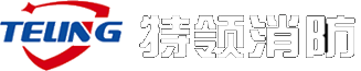 青岛特领消防科技有限公司